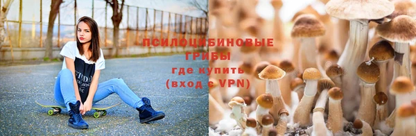 бутират Баксан